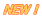 NEWI